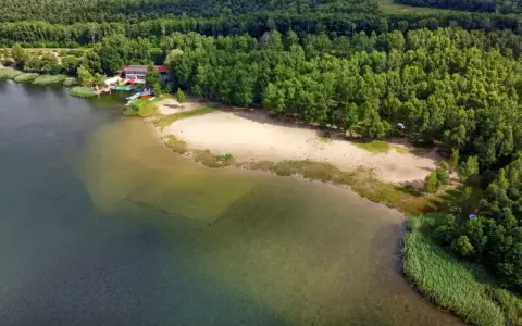 Piękny, piaszczysty brzeg nad zbiornikiem Pogoria, otoczony zielonym lasem. W oddali widać budynek z pomostem i łódkami.