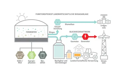 Schema einer Biogasanlage: Gülle, Energiepflanzen und Bioabfall werden im Fermenter zu Biogas, das aufbereitet und in einem Blockheizkraftwerk zur Stromerzeugung genutzt wird. So entstehen erneuerbare Gase.