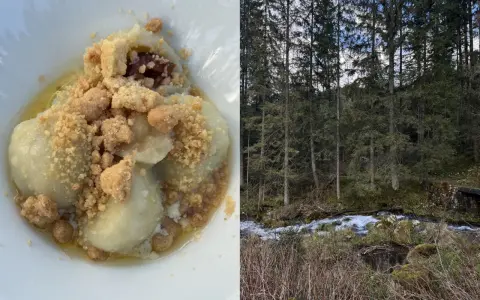 Pyszne pierogi z owocami i kruszonką, serwowane w bacówce Biały Potok, obok szumiącego górskiego potoku.