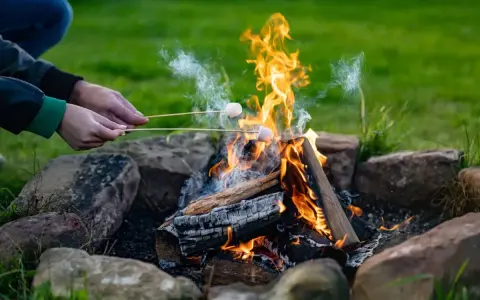Pieczenie pianek nad ogniskiem na działce to świetna zabawa.