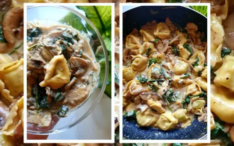 Gdzie kupić dobre tortellini, aby nie przepłacać i cieszyć się smakiem