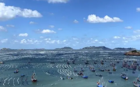 Fughe al mare da Shanghai: Guida alle migliori spiagge e isole
