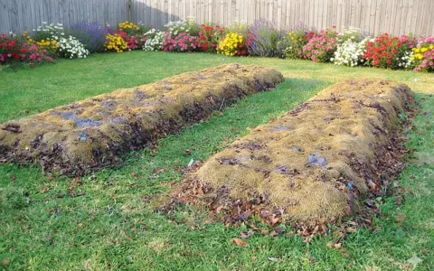 Deux plates-bandes en lasagne, couvertes de feuilles mortes et de paillis, attendent d'être plantées dans un jardin fleuri.