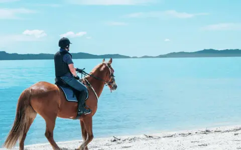Agroturystyka nad jeziorem: przejażdżka konna po plaży. Piękny dzień, błękitne niebo i spokojna woda.