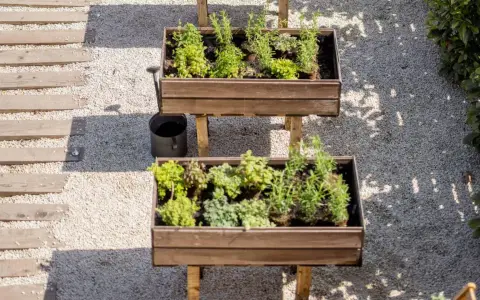 Dos jardineras elevadas con hierbas aromáticas, ideales para saber qué plantar en un huerto. Un camino de madera y grava acompaña.