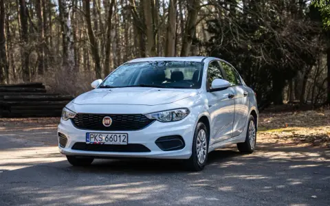 Biały Fiat Tipo 1.4 zaparkowany na leśnej drodze, otoczony drzewami i stertą drewna.