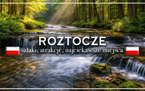 Roztocze: szlaki, atrakcje, najciekawsze miejsca. Malowniczy potok w lesie, idealny na wycieczkę.