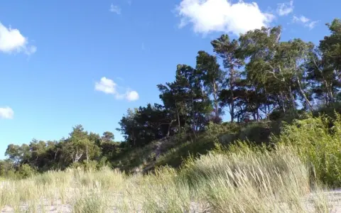 Piękny, zielony krajobraz z piaszczystą plażą i lasem na wzniesieniu. W oddali widać góra libek.