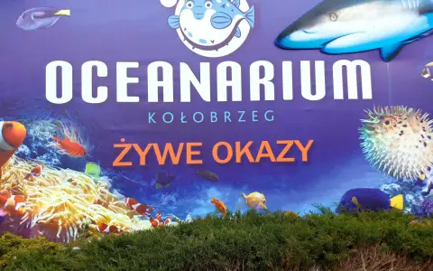 Oceanarium Kołobrzeg: Godziny otwarcia, ceny i jak zaplanować?