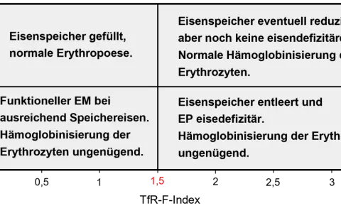 Diagramm zeigt vier Stadien der Eisenversorgung. Quadrant 4 beschreibt einen Zustand, bei dem der Eisenspeicher entleert ist und die Hämoglobinisierung der Erythrozyten ungenügend ist, was auf zu niedriges Ferritin hinweist.