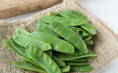 Gourmands pois verts frais, prêts pour un semis d'automne.