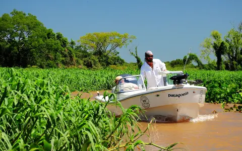 Mężczyzna w białej koszuli steruje łodzią "Patagonia" po rzece Parana, otoczonej bujną zielenią.