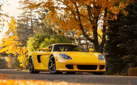 Gelber Porsche Carrera GT parkt unter Herbstlaub.
