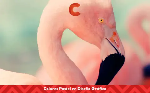 Flamencos rosados con un toque de colores pastel. El diseño gráfico resalta la suavidad de estos tonos.