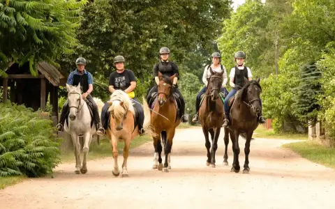 Agroturystyka blisko jeziora, gdzie pięć osób na koniach przemierza malowniczą drogę wśród zieleni.
