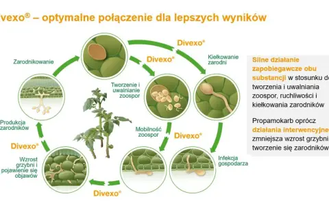 Cykl życia patogenu roślinnego z użyciem proplant. Schemat pokazuje zarodnikowanie, kiełkowanie, infekcję i rozwój grzybni.