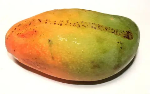 Okrągłe, owalne mango z przejściem kolorów od pomarańczowego do zielonego, z drobnymi, ciemnymi plamkami.