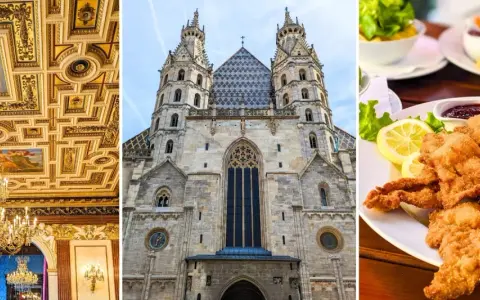 A luxurious ceiling, St. Stephen's Cathedral, and Wiener Schnitzel. Your perfect Vienna itinerary includes culture, history, and delicious food.