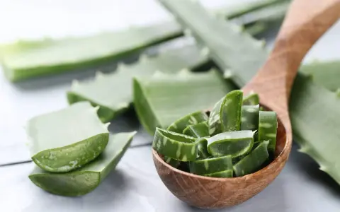 Aloe vera a fette in un cucchiaio di legno, pronte per scoprire come applicare aloe vera sulla pelle per un sollievo naturale.