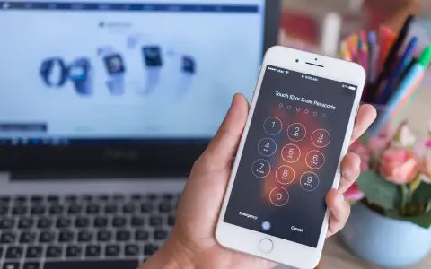 Eine Hand hält ein iPhone mit gesperrtem Bildschirm und Ziffernfeld. Im Hintergrund ein Laptop.