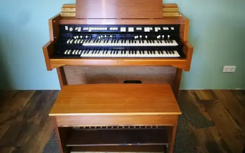 Ein schönes Hammond-Musikinstrument mit zwei Manualen und einer Holzbank davor.