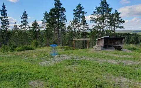 En blå discgolfkorg står på en gräsklädd kulle med skog i bakgrunden. En vindskyddad rastplats finns i närheten. Perfekt för discgolf i Hudiksvall.