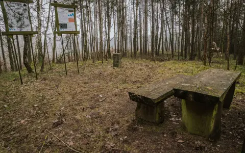 Kamienny stół i ławka w lesie, obok tablice informacyjne. Miejsce na odpoczynek podczas wędrówki po górach obkaskich.