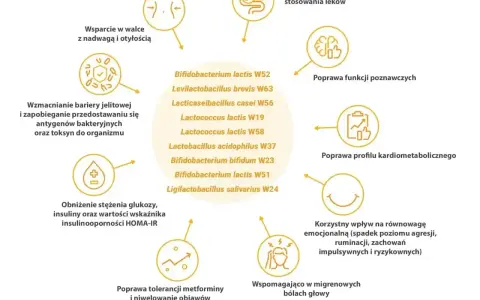 Wsparcie w walce z insulinoopornością, poprawa profilu kardiometabolicznego i funkcji poznawczych. Leki na receptę mogą być wspierane przez probiotyki.