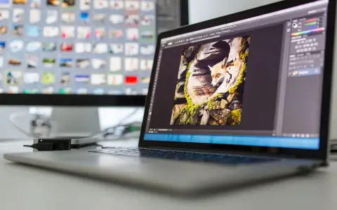 Lisek w kadrze programu Photoshop na ekranie laptopa.