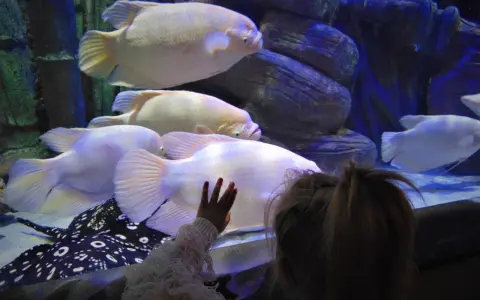 Oceanarium Międzyzdroje: Opinie, Ceny. Czy warto wydać 90 zł?