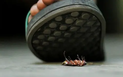 Un pie aplasta una cucaracha.