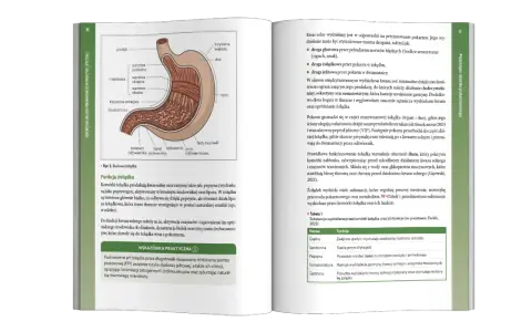 Helicobacter pylori: Złoty standard leczenia w Polsce leki i schematy