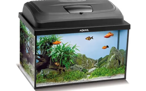 Akwarium 40x25x25 cm: 25l i co dalej? Przewodnik nano!
