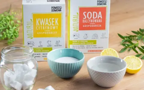 Tabletki do zmywarki DIY: oszczędzaj i chroń zmywarkę!
