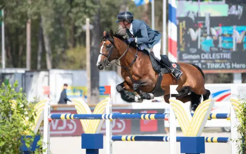Le cavalier et Tinka's Hero, le champion de Tinka, franchissent un obstacle.