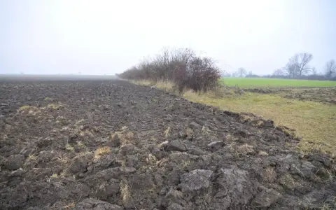 Pola uprawne i zarośla na tle mglistego krajobrazu. Zastanawiasz się, ile kosztuje hektar ziemi?