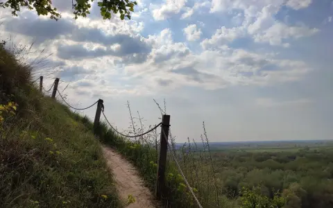 Ścieżka na zboczu, prowadząca ku widokowi na las i równiny. Może to widok z najwyższego szczytu Gór Pieprzowych?