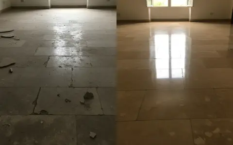 Avant/après : comment enlever le lichen sur les pierres. Le sol en pierre est transformé, passant d'un état sale et abîmé à une surface propre et brillante.