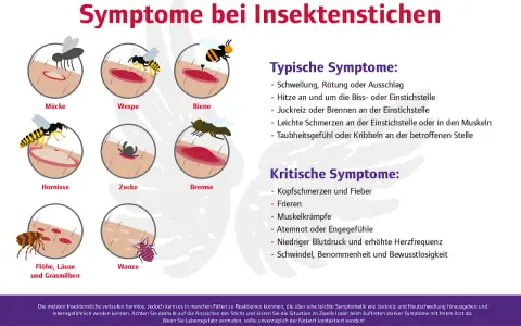 Illustrationen zeigen verschiedene Insektenstiche und ihre Symptome, wie Schwellung und Rötung. Eine wundrose nach insektenstich kann verschiedene Ursachen haben.