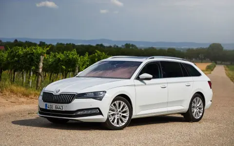 Biała Skoda Combi zaparkowana na drodze wśród winnic.