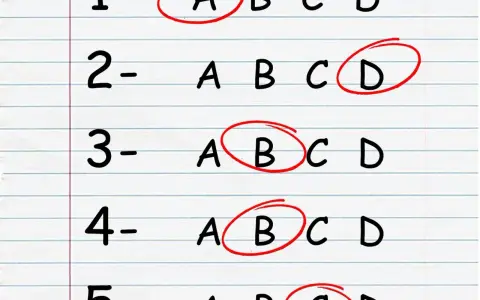 Liste mit nummerierten Fragen und Auswahlmöglichkeiten (A, B, C, D). Einige Antworten sind rot eingekreist, was die Bedeutung der Noten verdeutlicht.