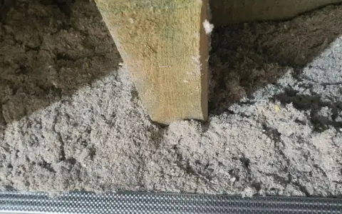 Drewniana belka i luźna, szara celuloza ocieplenie w przestrzeni między stropowej. Metalowa siatka pod izolacją.