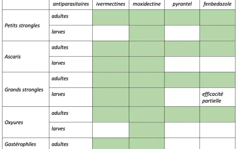 Tableau comparant l'efficacité de divers antiparasitaires contre les vers des chevaux (adultes et larves) : petits strongles, ascaris, grands strongles, oxyures, gastérophiles.