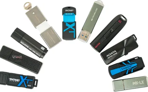 Różne modele pendrive'ów, czyli przenośnych pamięci USB, ułożone w łuk. Widać marki Kingston, ADATA, SanDisk, Patriot, Transcend, MX-TECHNOLOGY.