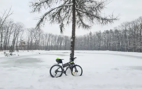 Rower czeka na wiosnę przy zamarzniętym stawie. Zimowe trasy rowerowe Tarnów kuszą pięknem przyrody.
