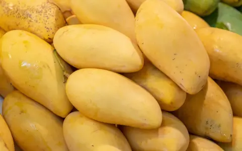 Stos dojrzałych, żółtych mango. Warto sprawdzić mango indeks glikemiczny przed spożyciem.