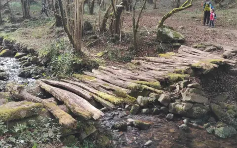 Puente rústico de troncos cubiertos de musgo en la ruta canal de las tejeras. Un arroyo fluye bajo él, rodeado de rocas y vegetación.
