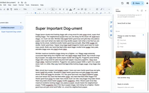 Une application note partagée avec un document sur les chiens et des notes récentes.