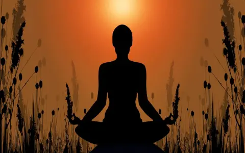 Silhuett av en person i meditationsställning, omgiven av gräs och med en solnedgång i bakgrunden. En bild som symboliserar meditation och hinduism.