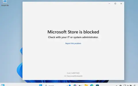 Microsoft Store: Apps optimal nutzen & alle Probleme lösen
